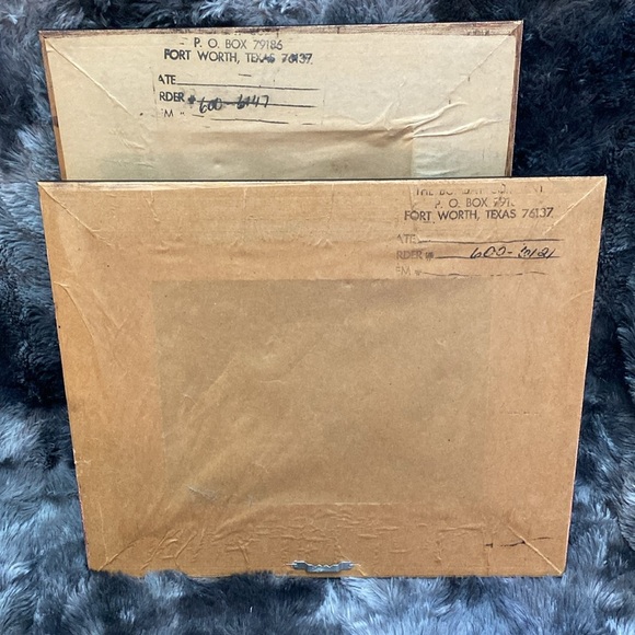 2 Miss Meka Cat Picture Paul Stagg The Bombay Company Stephanie Hoppen - Picture 10 of 16